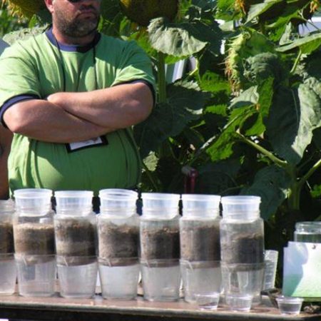 Soil Quality and Water Movement Demonstration